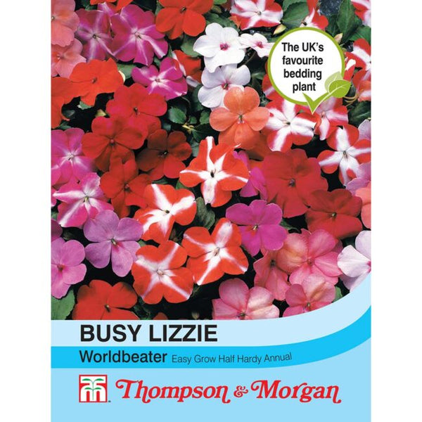 Busy Lizzie Worldbeater Flower Seeds