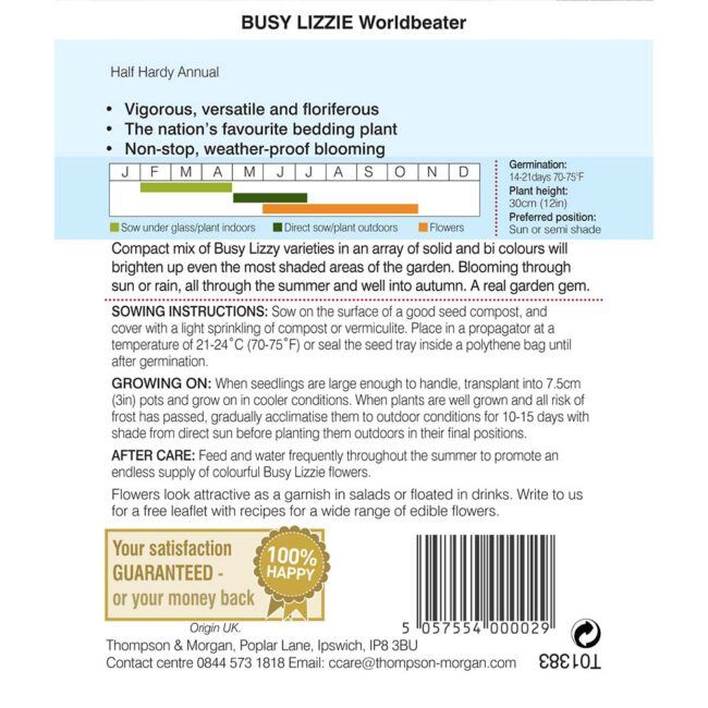 Busy Lizzie Worldbeater Flower Seeds