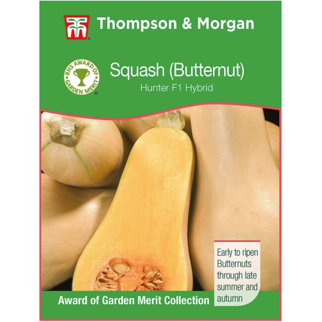 Butternut Squash Hunter Seeds