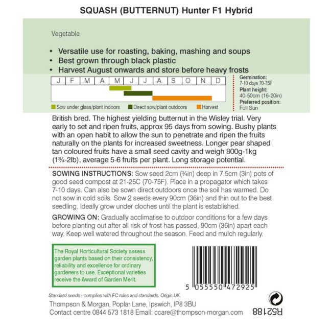 Butternut Squash Hunter Seeds