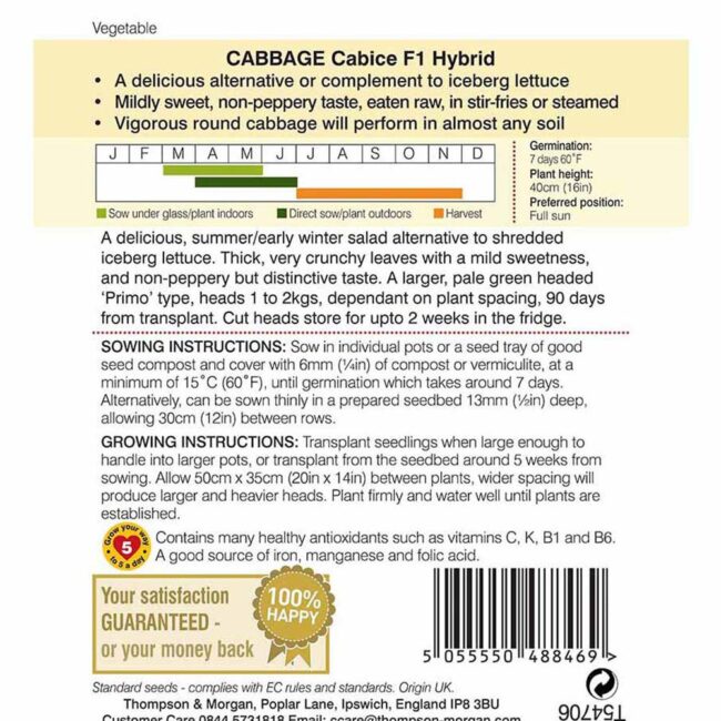 Cabbage Cabbice F1 Hybrid Vegetable Seeds