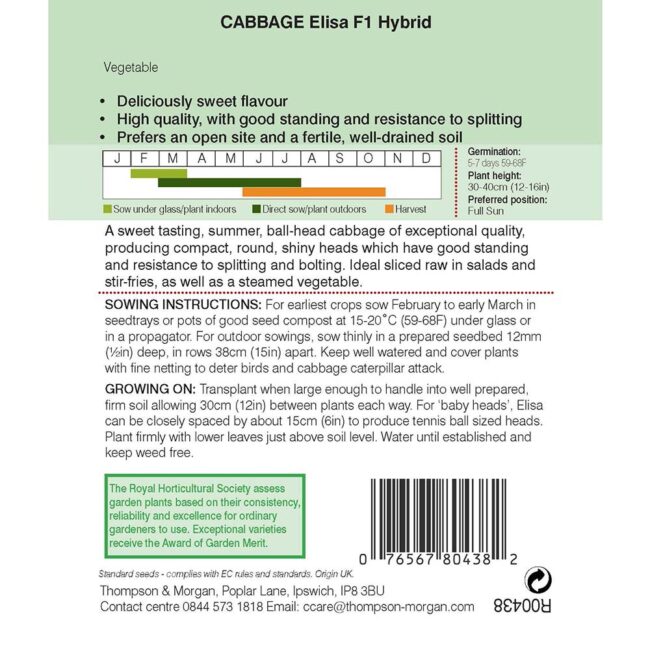 Cabbage Elisa F1 Hybrid Seeds