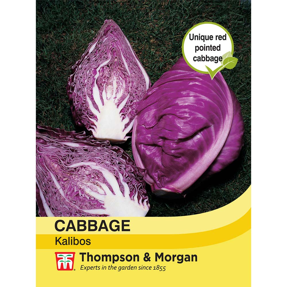 Cabbage Kalibos (Filderkraut) F1 Hybrid Seeds