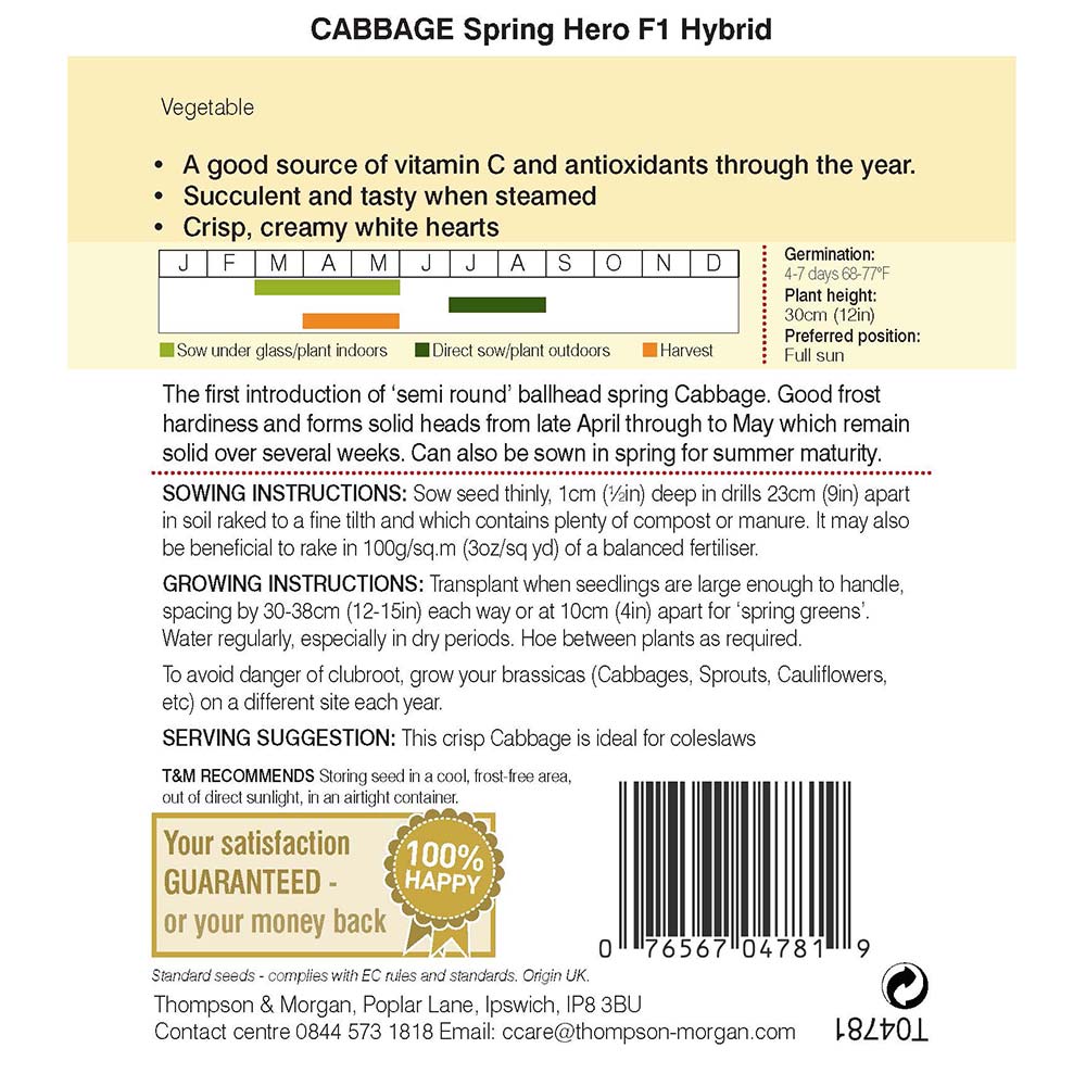 Cabbage Spring Hero F1 Seeds