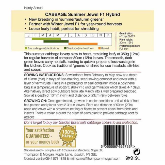 Cabbage Summer Jewel F1 Seeds