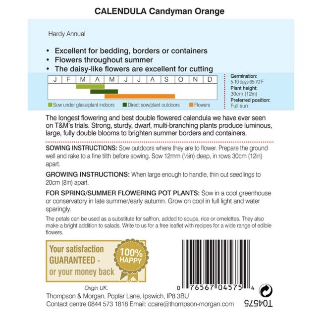 Calendula Candyman Orange Flower Seeds