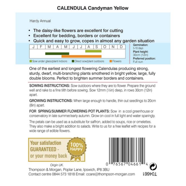 Calendula Candyman Yellow Flower Seeds