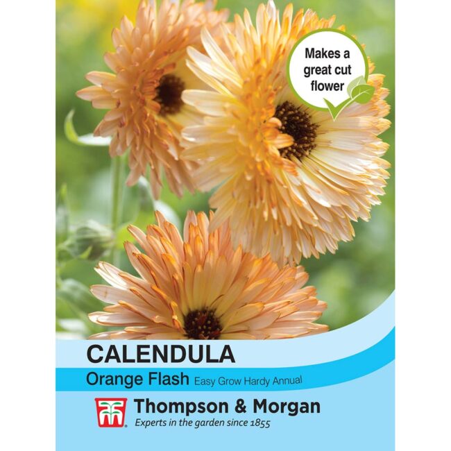 Calendula Orange Flash Flower Seeds