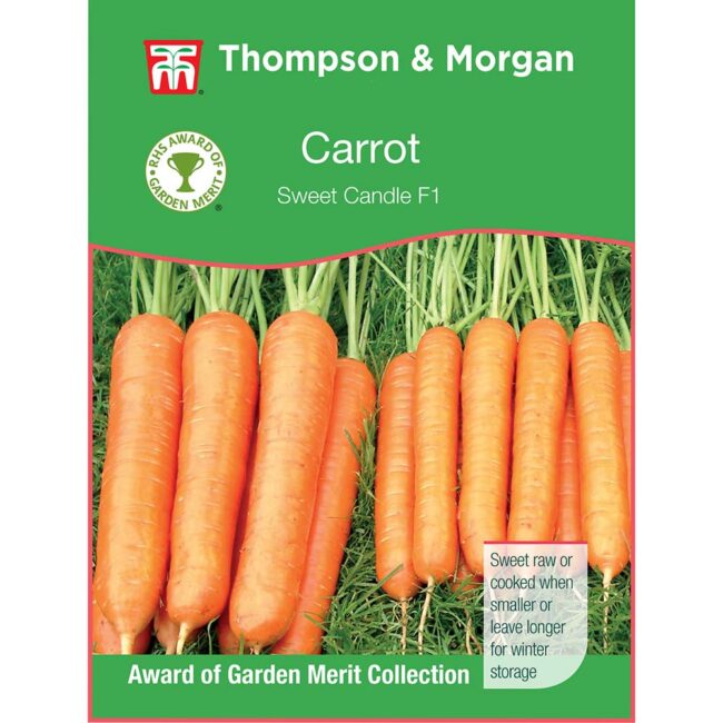 Carrot Sweet Candle F1 Hybrid Seeds