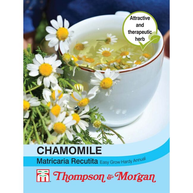 Chamomile Flower Seeds
