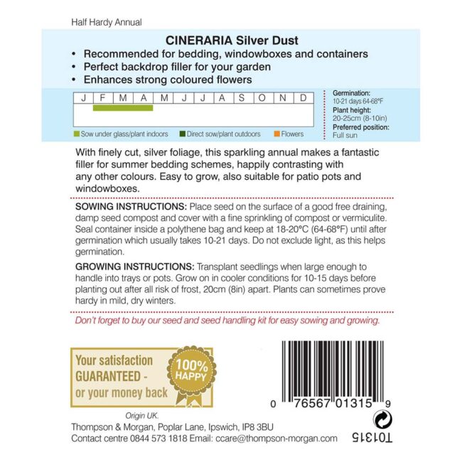 Cineraria Silver Dust Flower Seeds