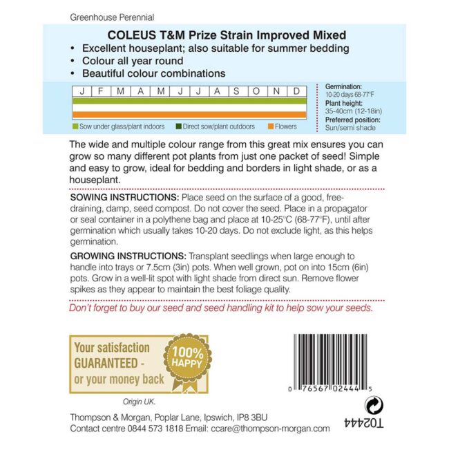 Coleus T&M Prize Strain Improved Flower Seeds