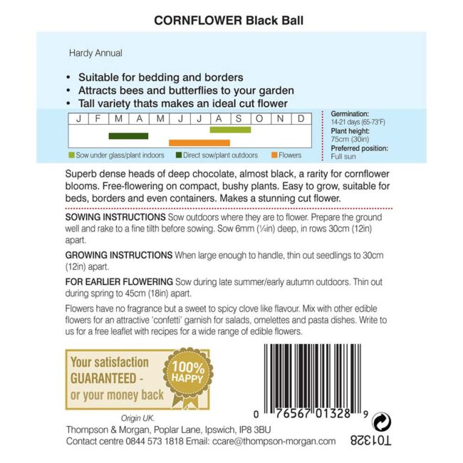 Cornflower Black Ball Flower Seeds