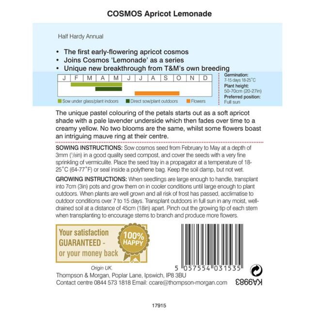 Cosmos Apricot Lemonade Flower Seeds
