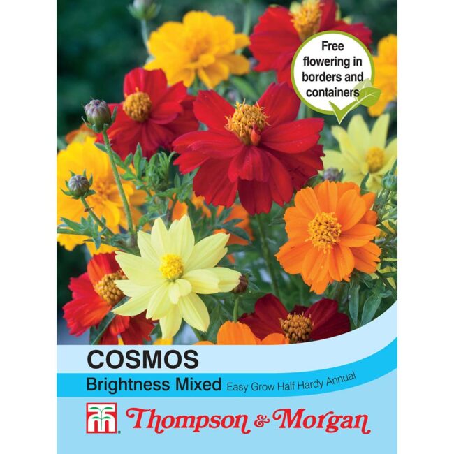 Cosmos Brightness Mixed Flower Seeds