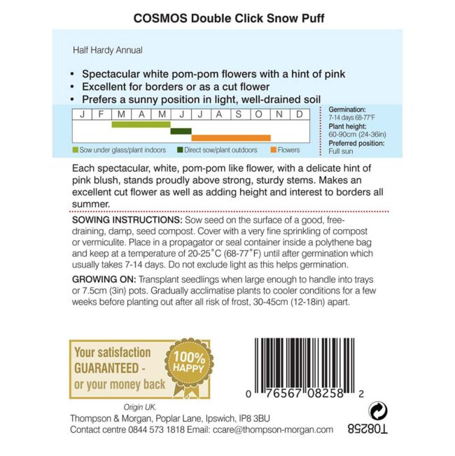 Cosmos Double Click Snow Puff Flower Seeds