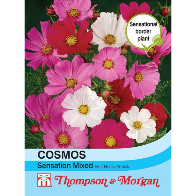 Cosmos Sensation Mixed Flower Seeds