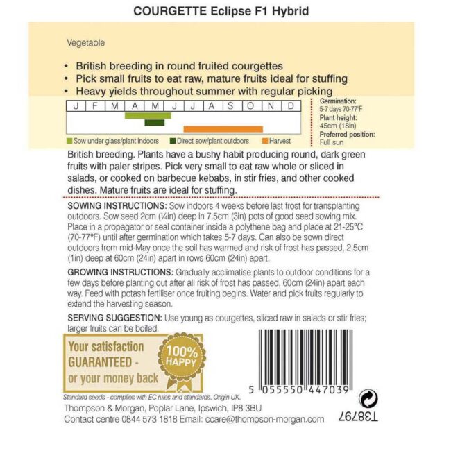 Courgette Eclipse F1 Hybrid Vegetable Seeds