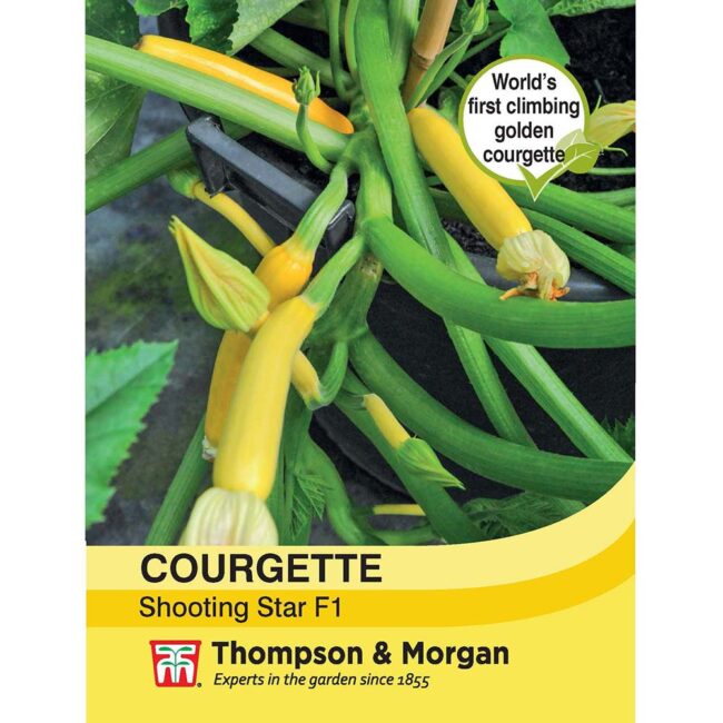 Courgette Shooting Star Vegetable Seeds