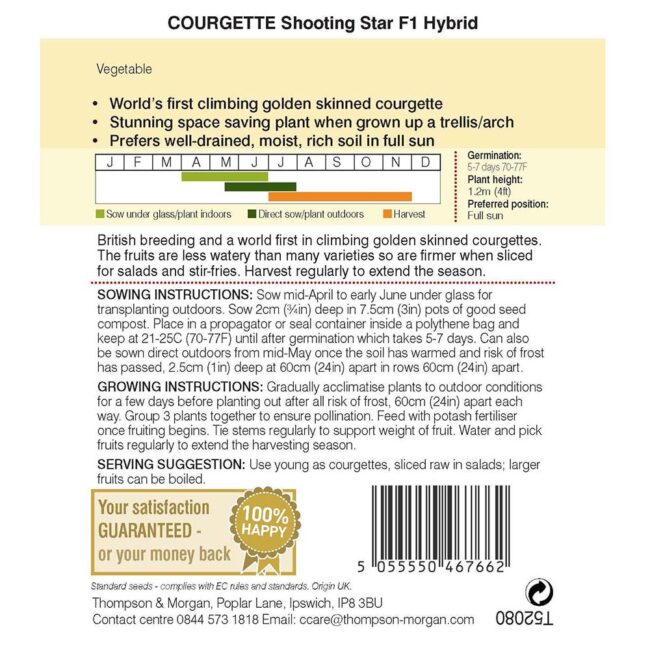Courgette Shooting Star Vegetable Seeds