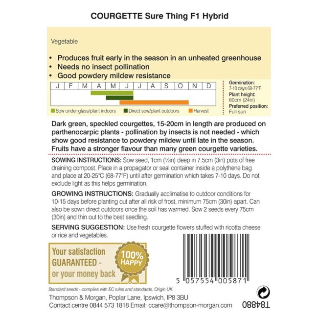 Courgette Sure Thing Vegetable Seeds