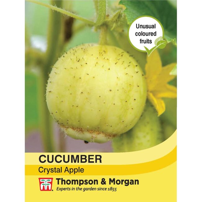Cucumber Crystal Apple Seeds
