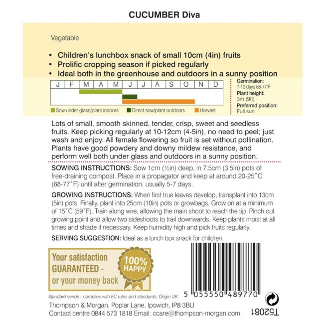 Cucumber Diva Vegetable Seeds