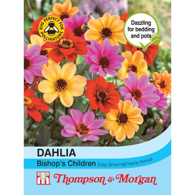 Dahlia Bishops Children Flower Seeds