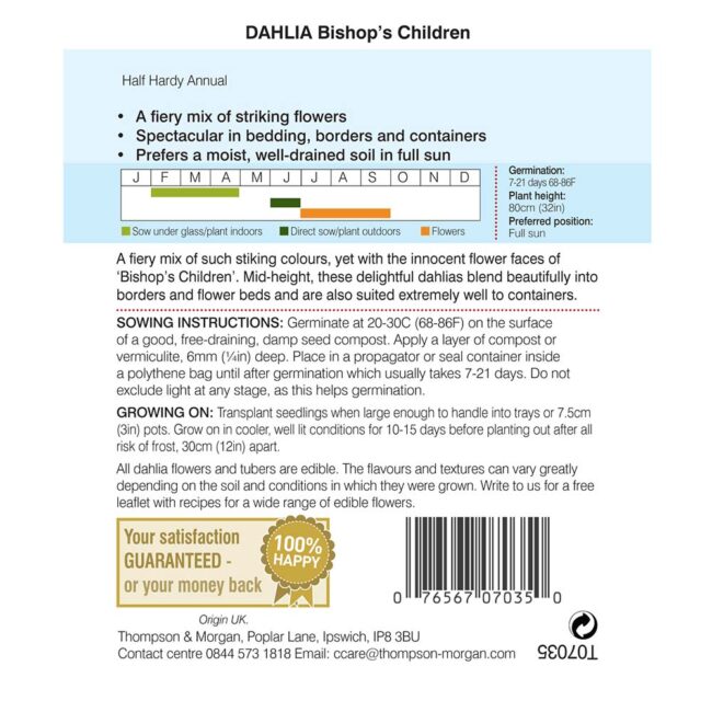 Dahlia Bishops Children Flower Seeds