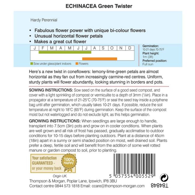 Echinacea Green Twister Flower Seeds
