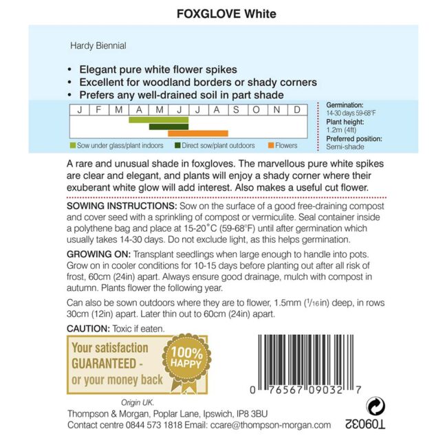 Foxglove White Flower Seeds
