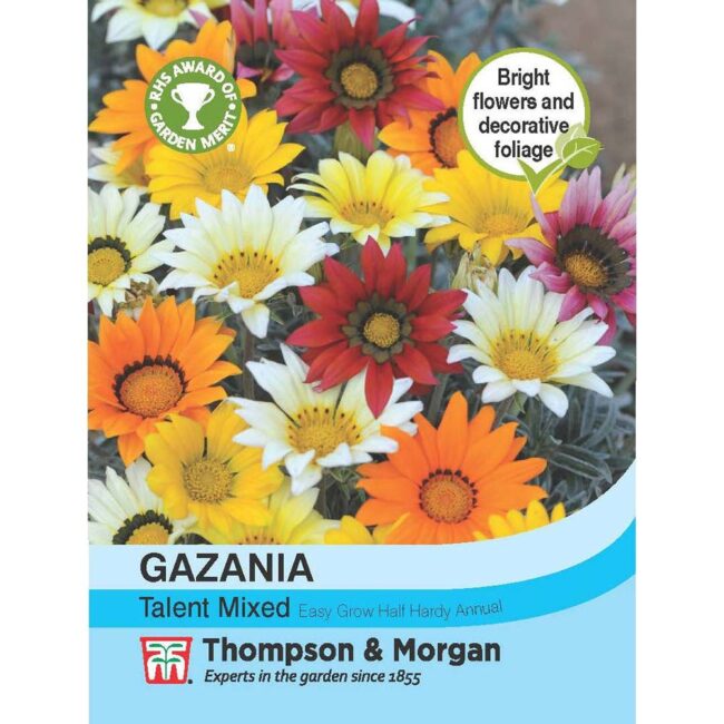 Gazania Talent Mixed Flower Seeds