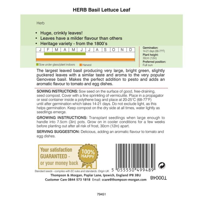 Basil Lettuce Leaf Herb Seeds