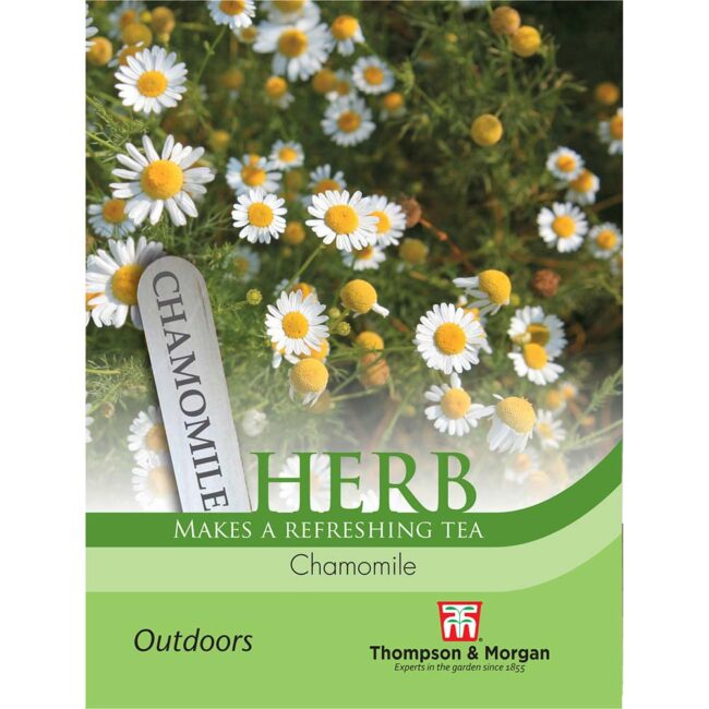 Chamomile Herb Seeds