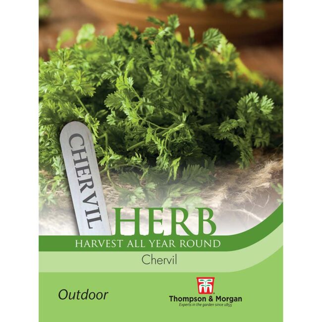 Chervil Herb Seeds
