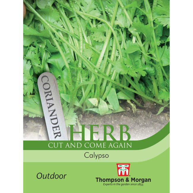 Coriander Calypso Herb Seeds