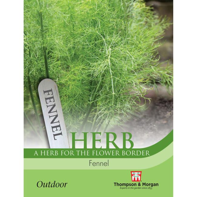 Fennel Herb Seeds