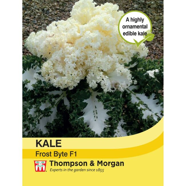 Kale Frost Byte F1 Seeds
