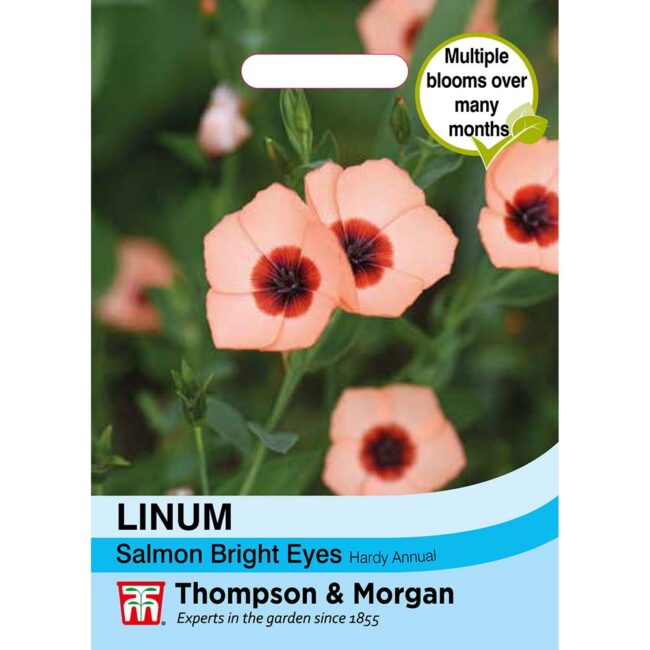 Linum Salmon Bright Eyes Flower Seeds