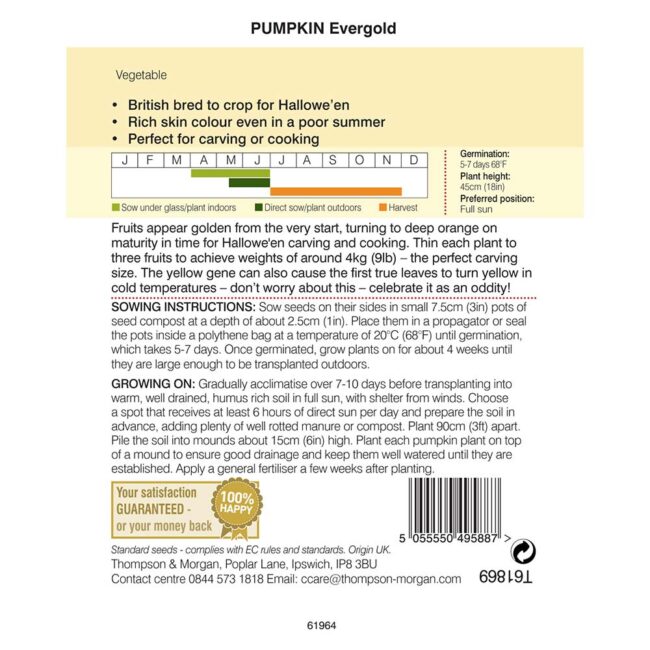 Pumpkin Evergold Seeds