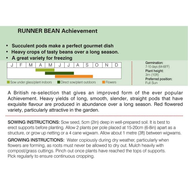 Runner Bean Achievement Seeds