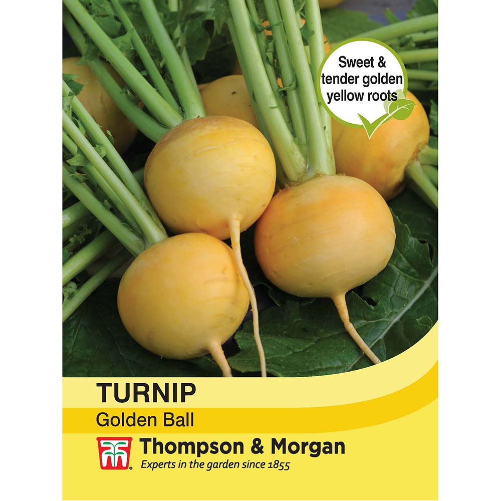 Turnip Golden Ball Seeds