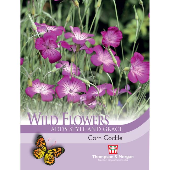 Wild Flower Corn Cockle Flower Seeds