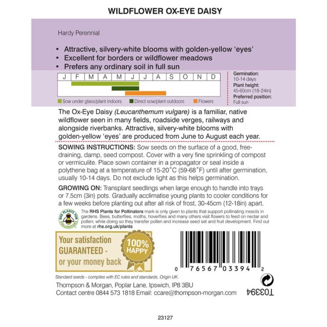 Wild Flower Oxeye Daisy Flower Seeds