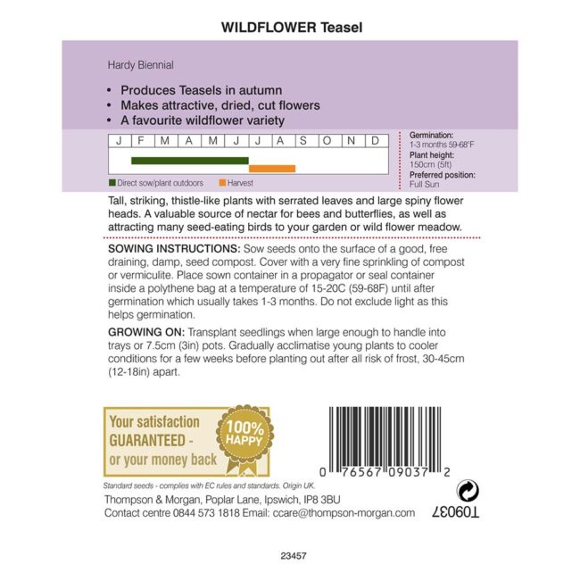 Wild Flower Teasel Flower Seeds