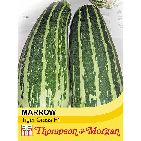 Marrow Tiger Cross F1 Seeds