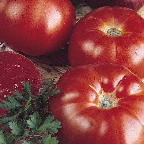 Tomato Super Marmande Seeds