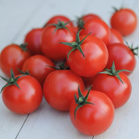 Tomato Gardeners Delight Seeds