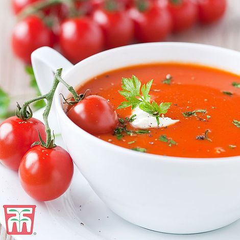 Tomato Moneymaker Seeds
