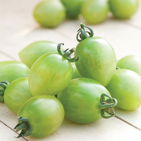 Tomato Green Envy F1 Hybrid Seeds